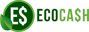 EcoCash Store